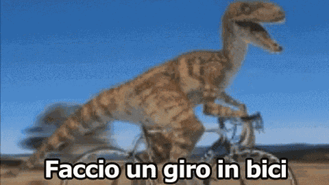 Dinosaur Raptor GIF