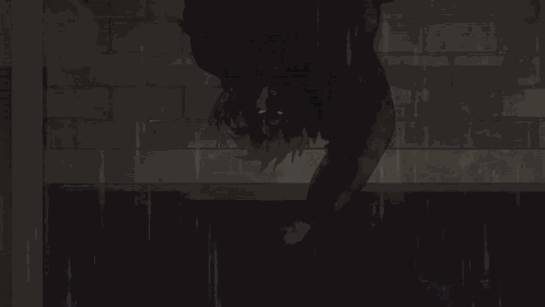 Dio Brando The Vampire Of Evil GIF