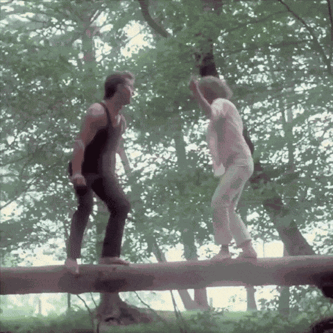 Dirty Dancing Dirty Dancing Movie GIF