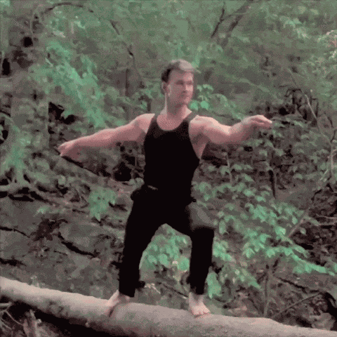 Dirty Dancing Dirty Dancing Movie GIF