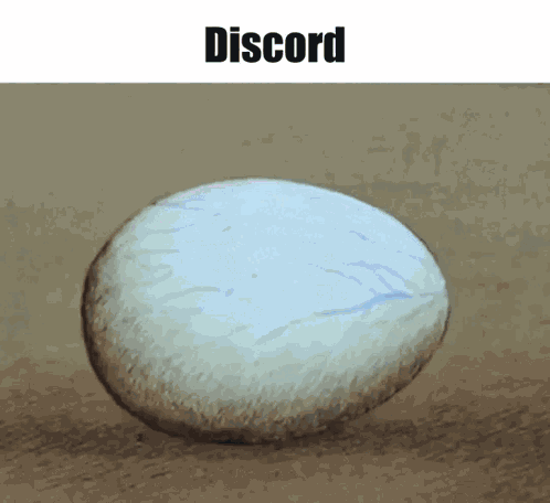 Discord Discord Mod GIF