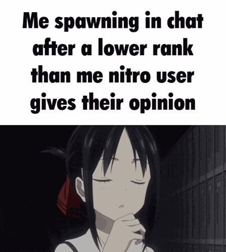 Discord Discord Nitro GIF