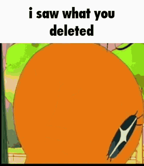 Discord I Saw What You Deleted GIF