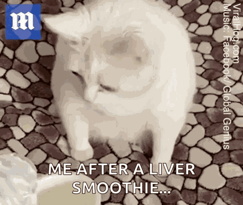 Disgust Disgusting GIF
