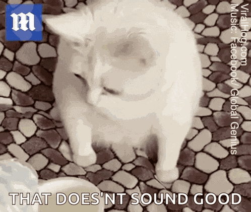 Disgust Disgusting GIF