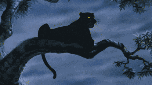 Disney Jungle Book GIF