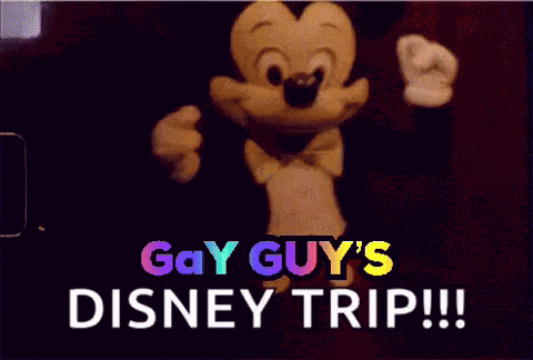 Disney World Florida GIF