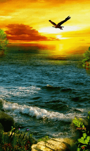 Diya Nice View GIF