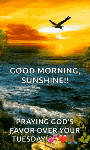 Diya Niceview GIF