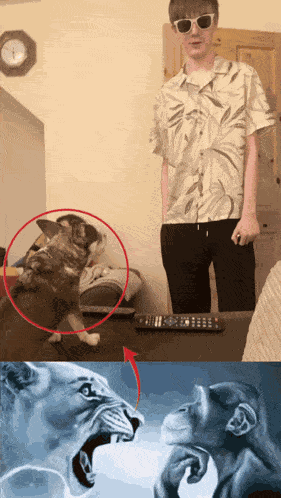 Djpemb Locked In Vs Tweaking GIF