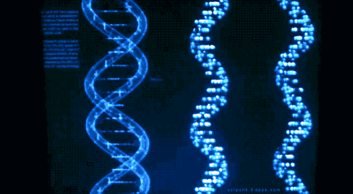 Dna Dns GIF