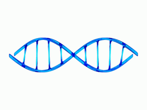 Dna Spinning GIF