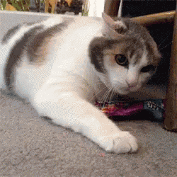 Do It Again And You Die GIF