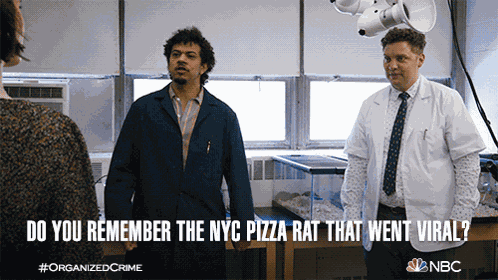 Do You Remember The Nyc Pizza Rat That Went Viral Simon GIF