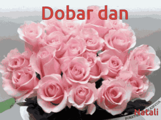 Dobar Dan GIF