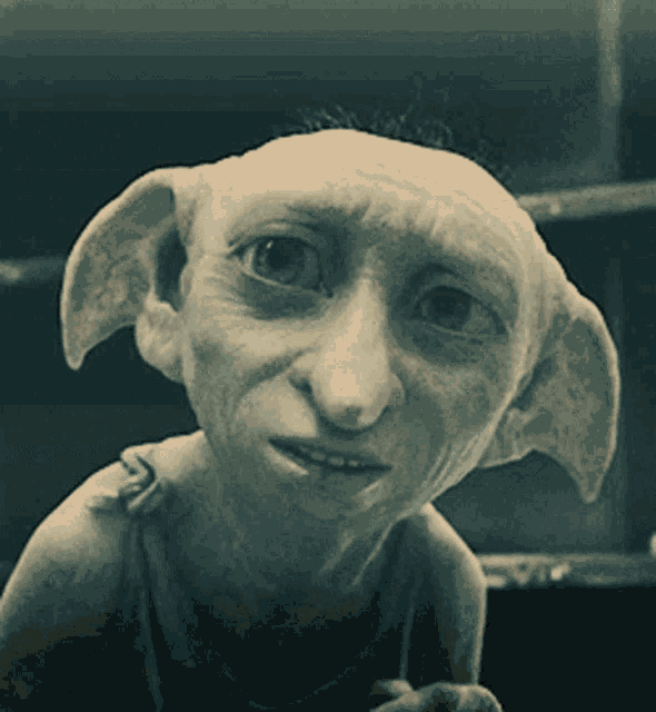 Dobby Alcoholic GIF