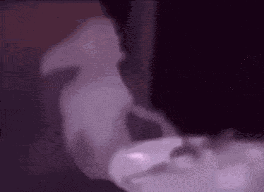 Dobby Dobby Dinner Table GIF