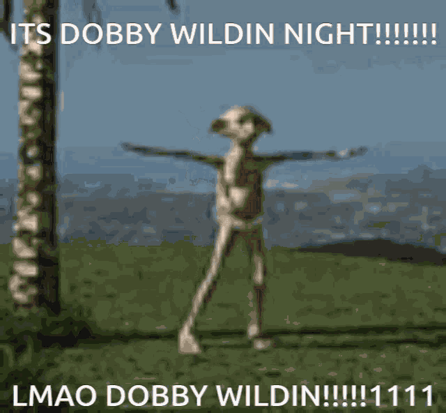 Dobby Dobby Wildin GIF