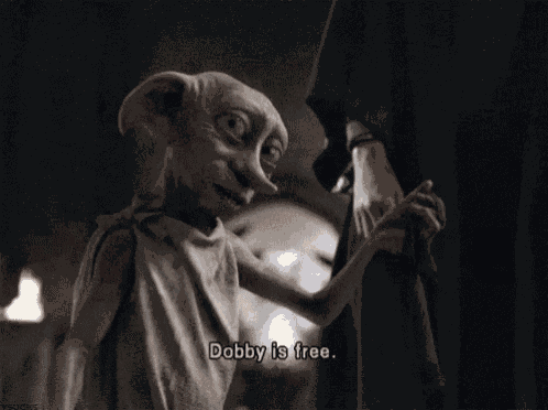 Dobby Harry GIF