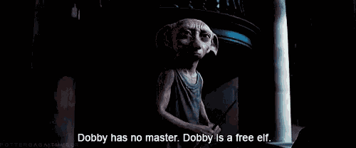 Dobby Has No Master Dobby Is Free Elf GIF