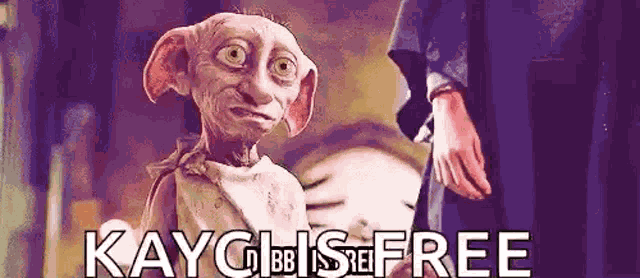 Dobby Is Free Kayci Is Free GIF