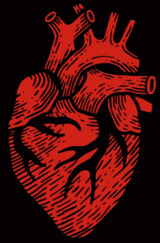 Docville Documentary Film Festival GIF
