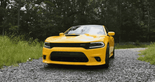 Dodge Charger Charger GIF