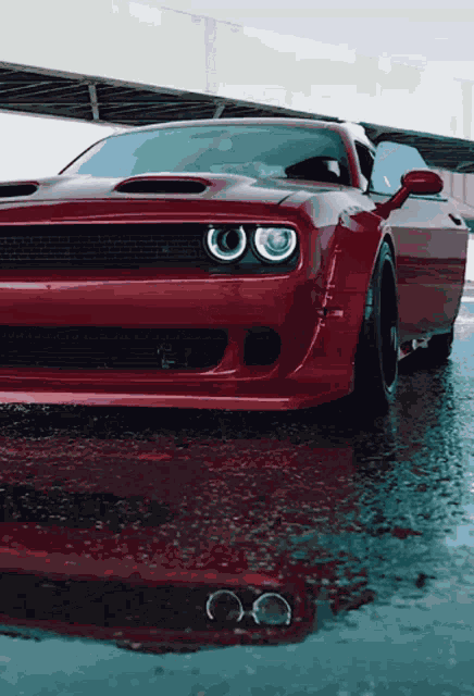 Dodge Widebody GIF