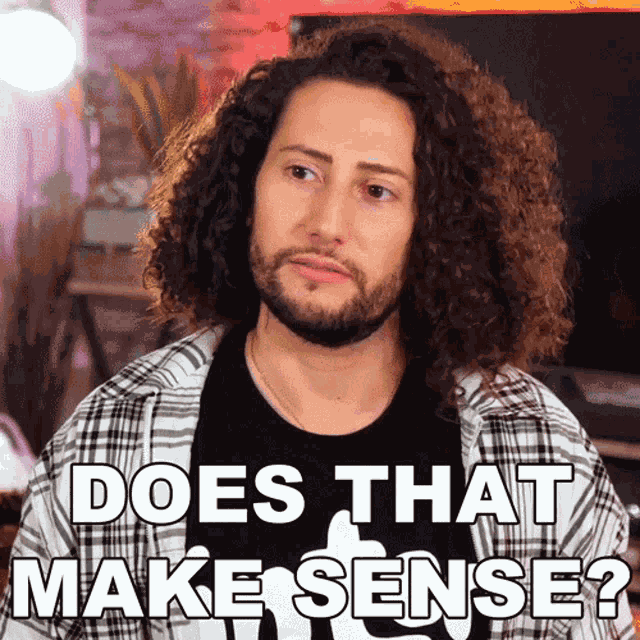 Does That Make Sense Nicola Foti GIF