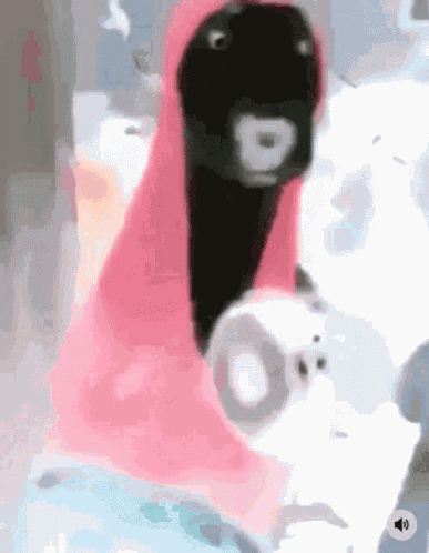 Dog GIF