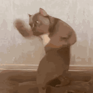 Dog Ai GIF