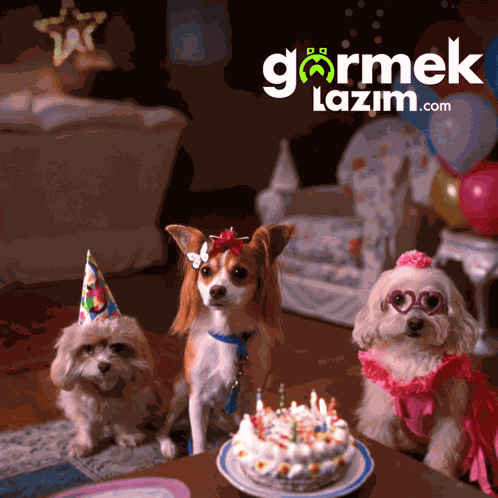 Dog Birthday Dogs Birthday GIF