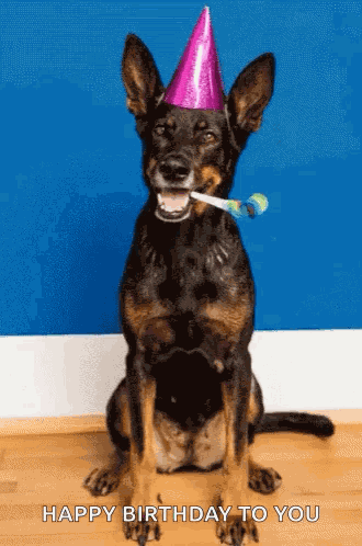 Dog Birthday GIF
