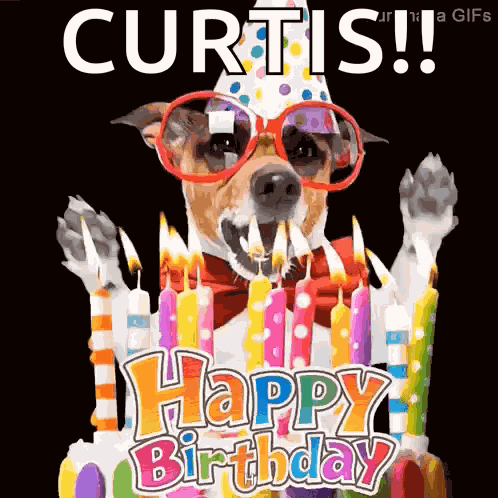 Dog Birthday GIF