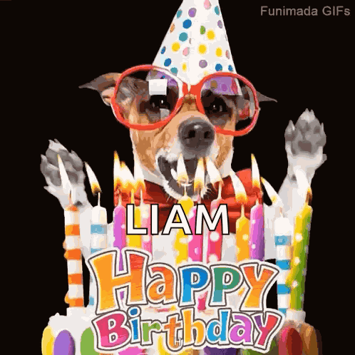 Dog Birthday GIF