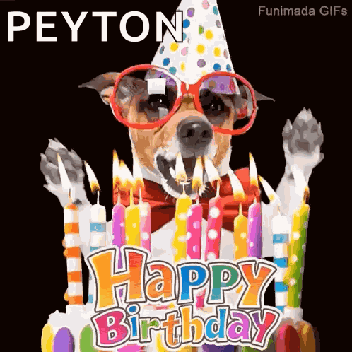 Dog Birthday GIF
