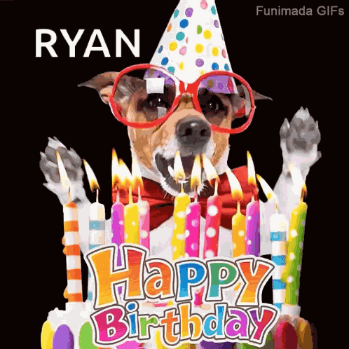 Dog Birthday GIF