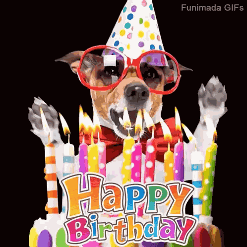 Dog Birthday GIF