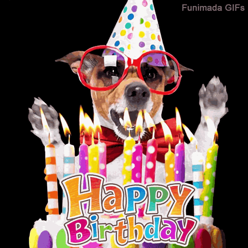 Dog Birthday GIF