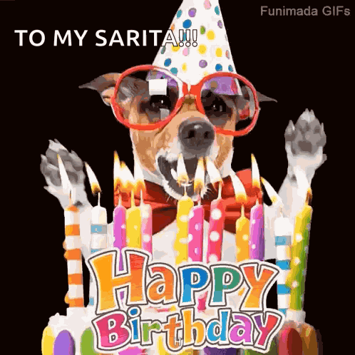 Dog Birthday GIF