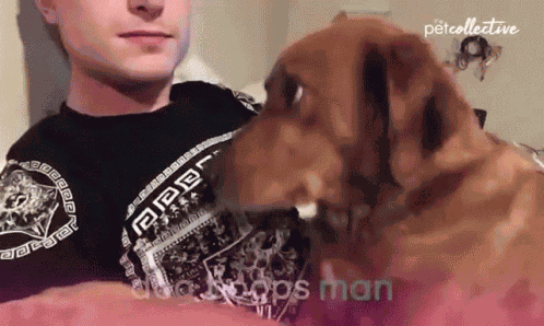 Dog Boops Man Boop GIF