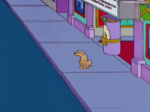 Dog Creepy Look GIF