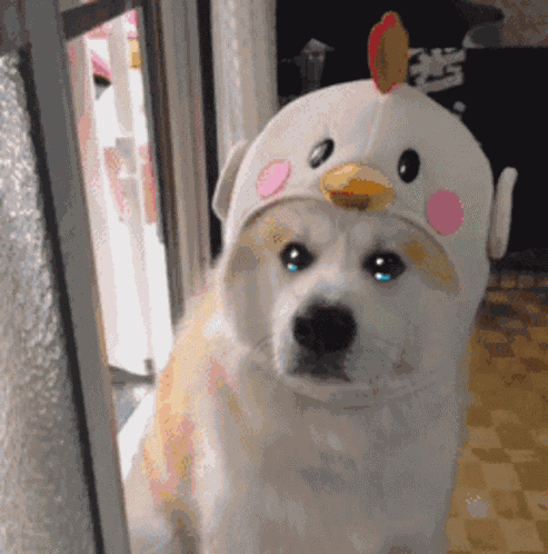 Dog Crying GIF
