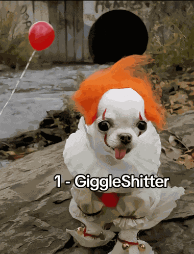 Dog Cute Meme