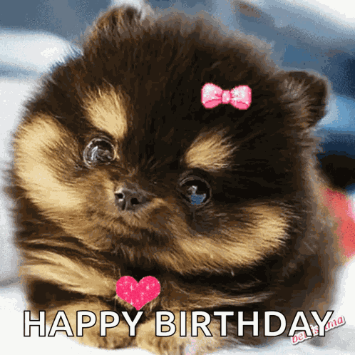 Dog Cute GIF