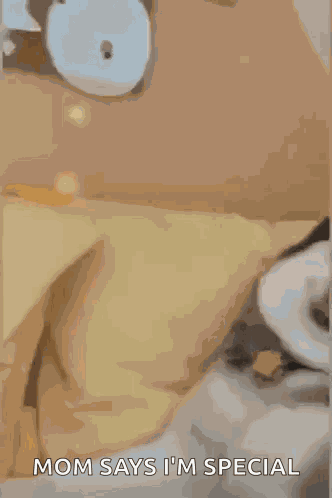 Dog Derpy GIF