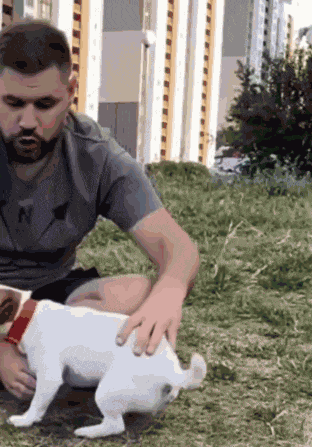 Dog Dog Backflip GIF