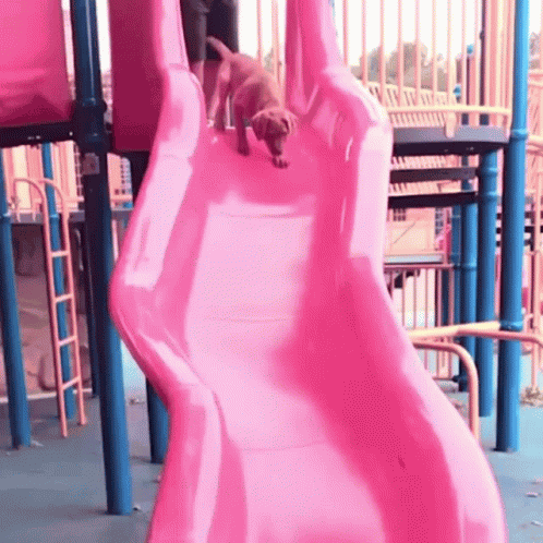 Dog Dog Slide GIF