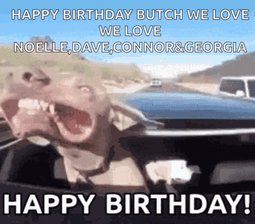 Dog Doggo GIF