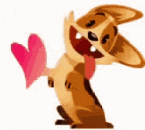 Dog Doggo GIF
